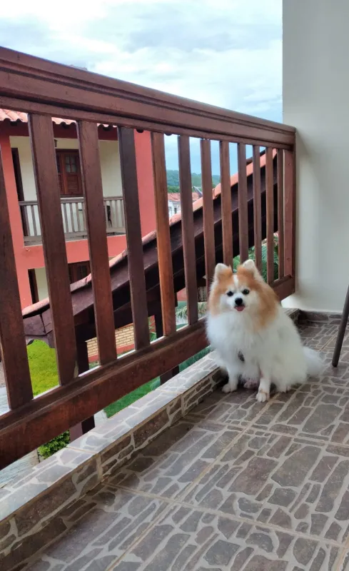 Pet na Villa Zen